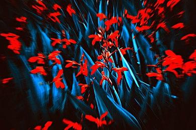 《瑞奇与叮当：分离》PC截图分享 是否值得期待